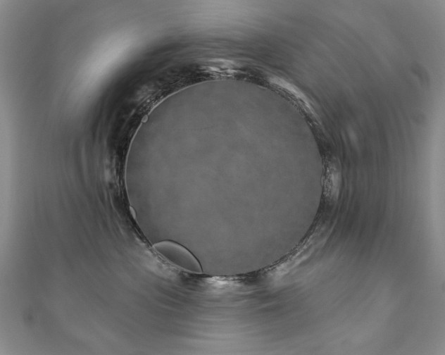 X0000110880477200906181229