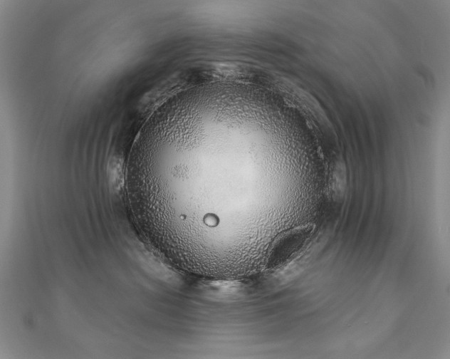 X0000110880478200906181229