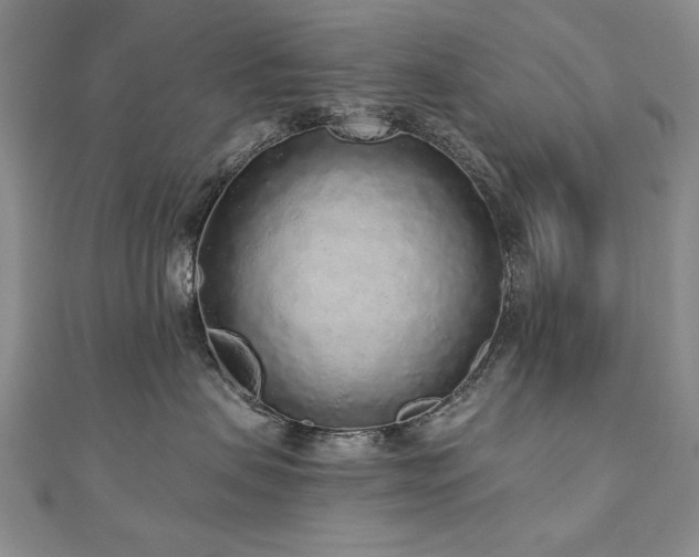 X0000110880479200906181229