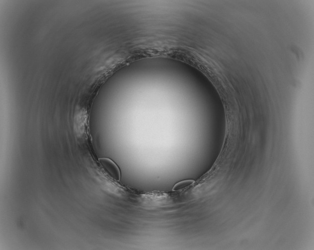 X0000110880480200906181229