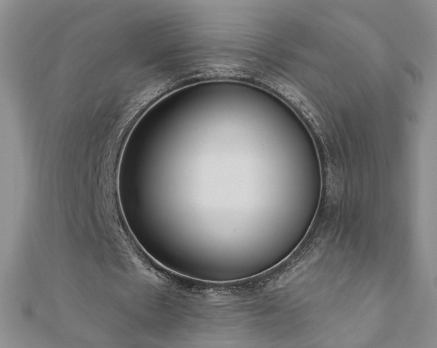X0000110880481200906181228