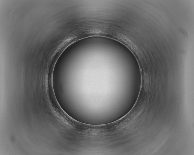 X0000110880482200906181228