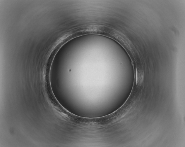 X0000110880483200906181228