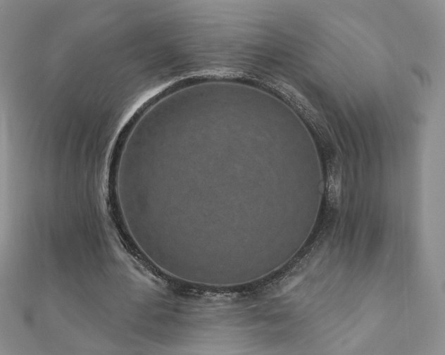 X0000110880484200906181228