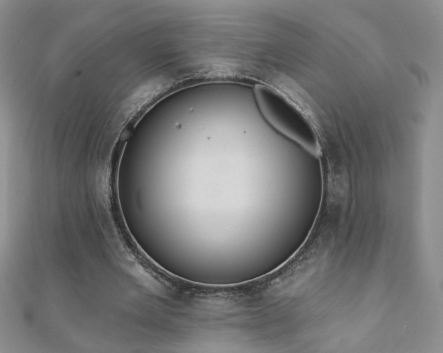 X0000110880485200906181228