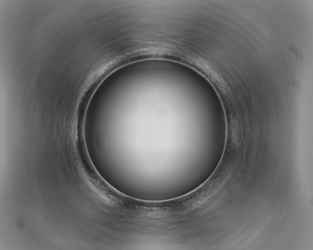 X0000110880486200906181228