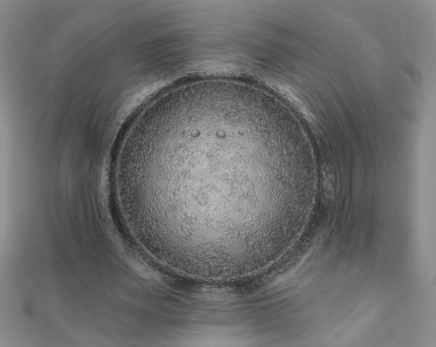 X0000110880487200906181228