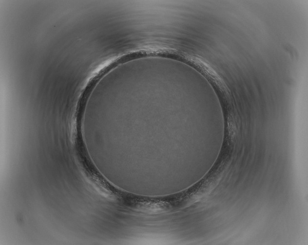 X0000110880488200906181228