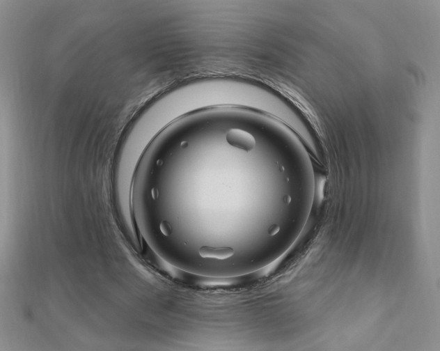 X0000110880489200906181228