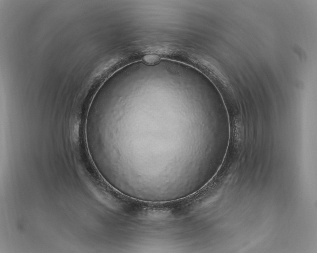 X0000110880491200906181228