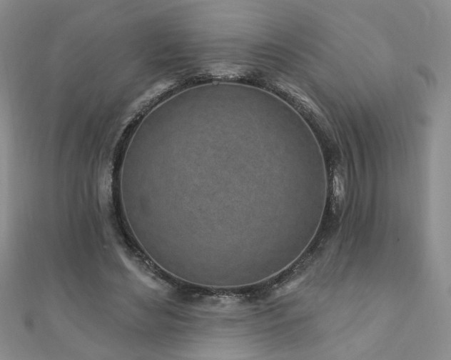 X0000110880492200906181228