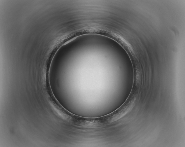 X0000110880493200906181228
