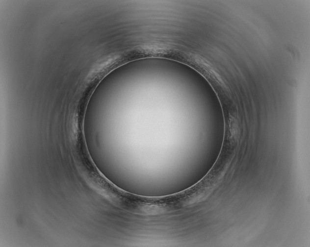 X0000110880494200906181228