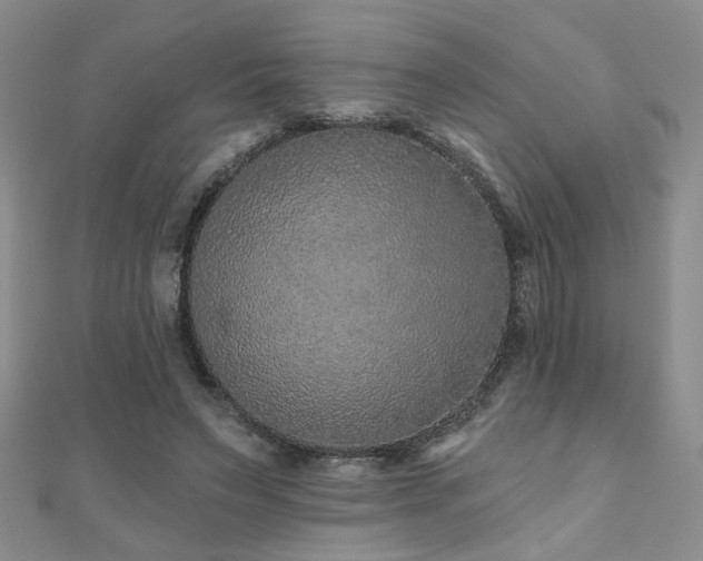 X0000110880495200906181228