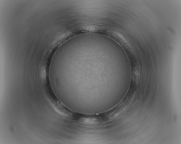 X0000110880500200906181228