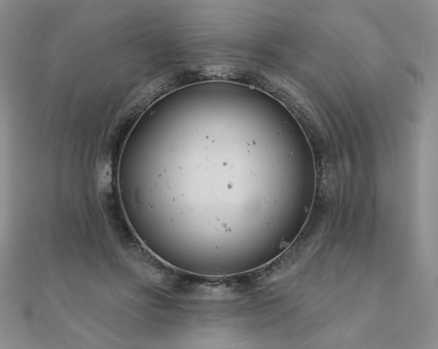 X0000110880502200906181228