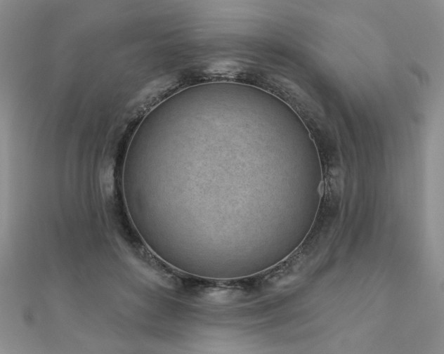 X0000110880504200906181228