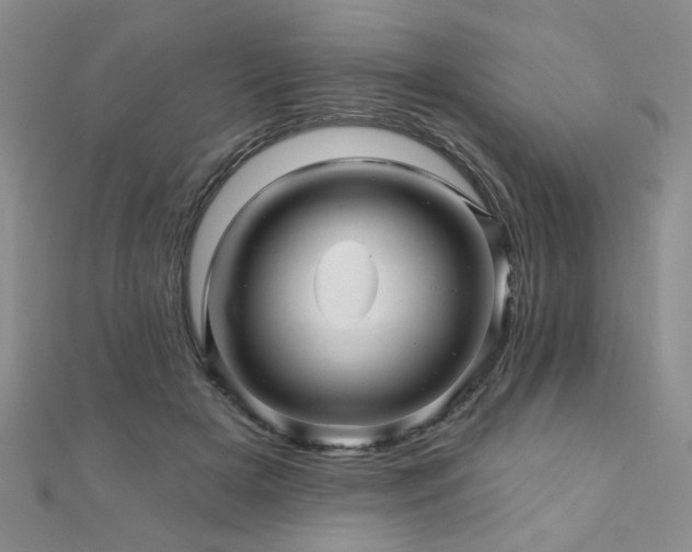 X0000110880505200906181228