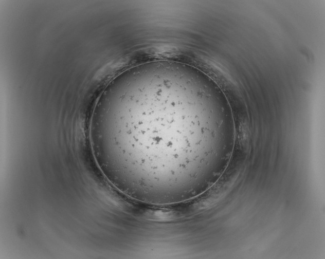 X0000110880506200906181228