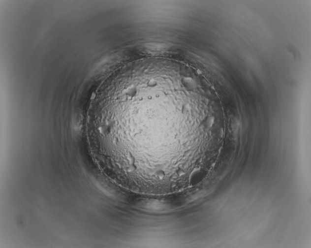 X0000110880507200906181228
