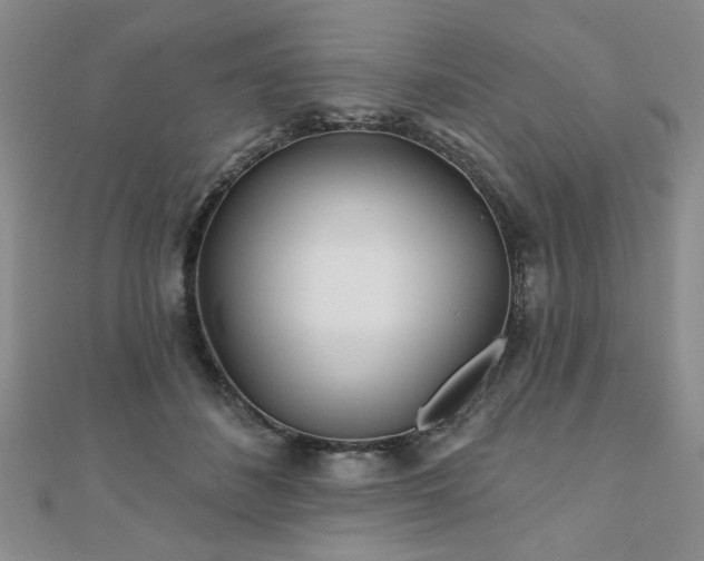 X0000110880508200906181228