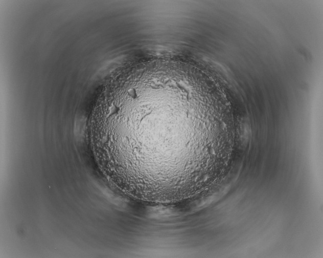 X0000110880511200906181228