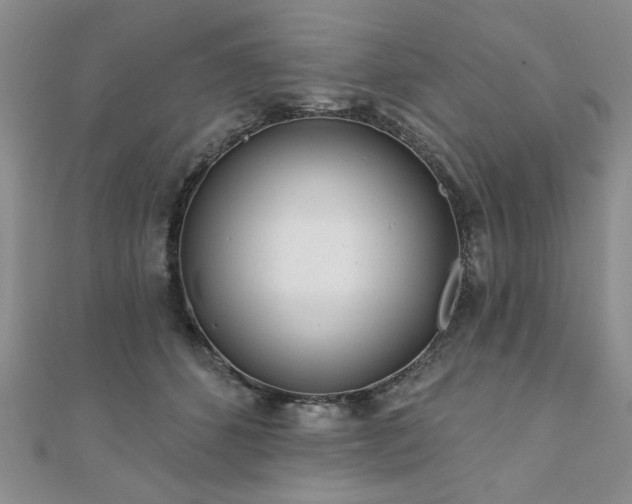 X0000110880512200906181228