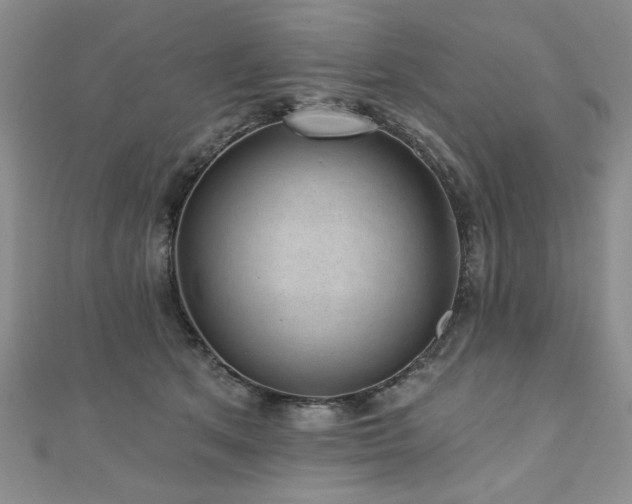 X0000110880513200906181228
