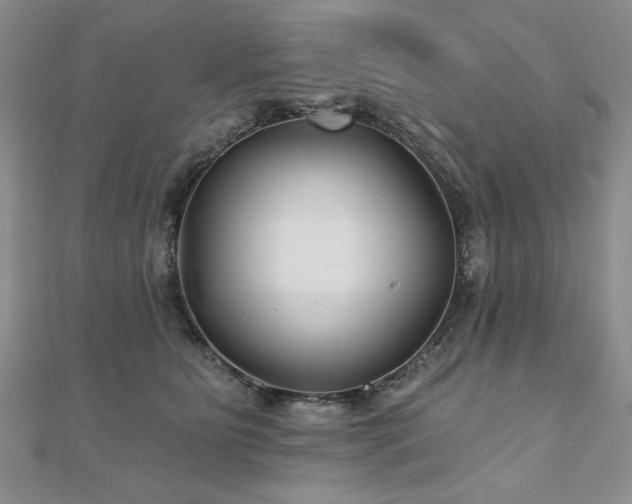 X0000110880515200906181228