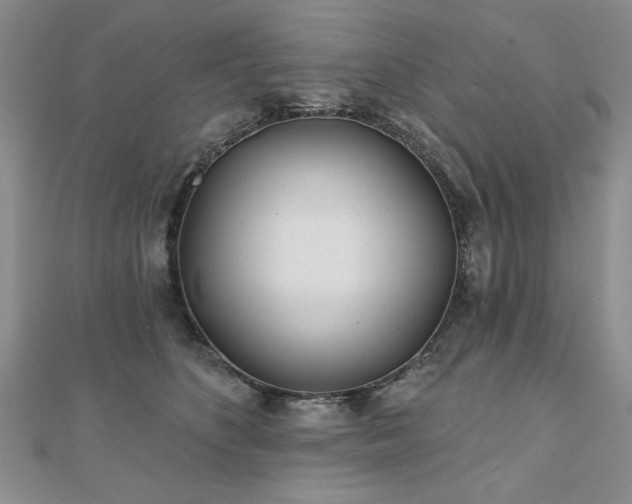 X0000110880516200906181228