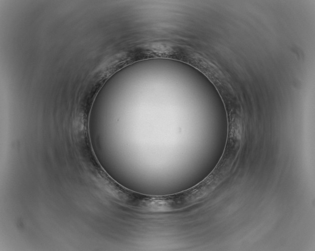 X0000110880518200906181228