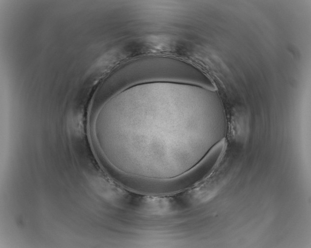 X0000110880520200906181228