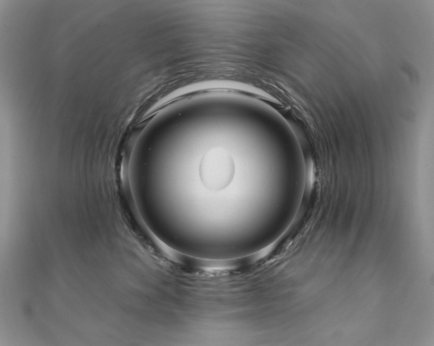 X0000110880524200906181227