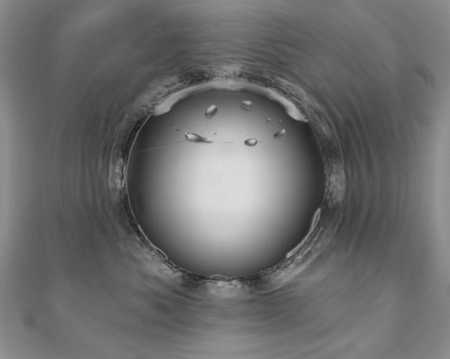 X0000110880525200906181227