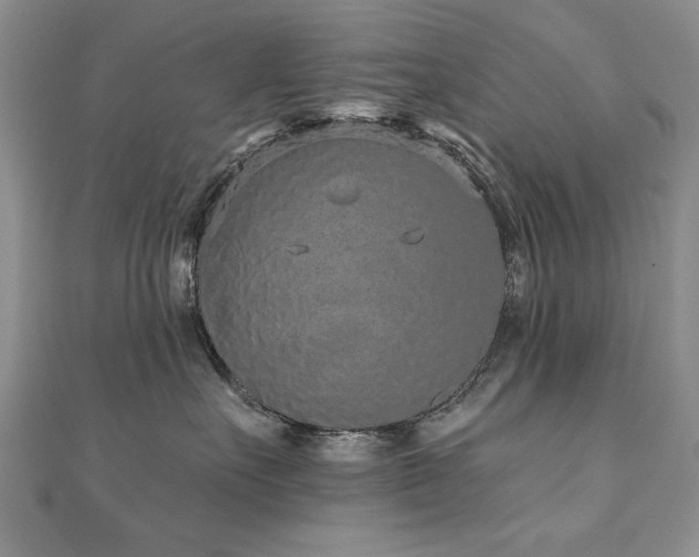 X0000110880527200906181227