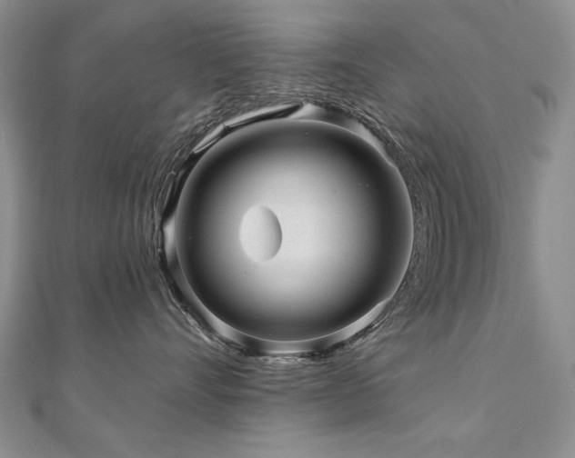 X0000110880528200906181227