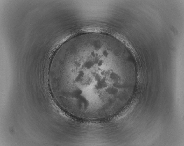 X0000110880529200906181227