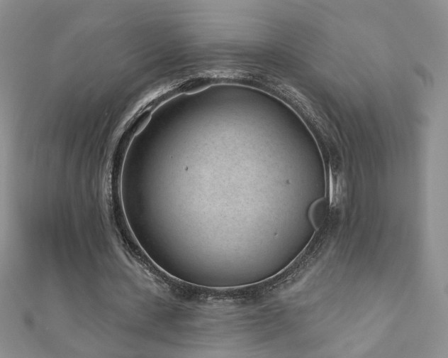X0000110880531200906181227