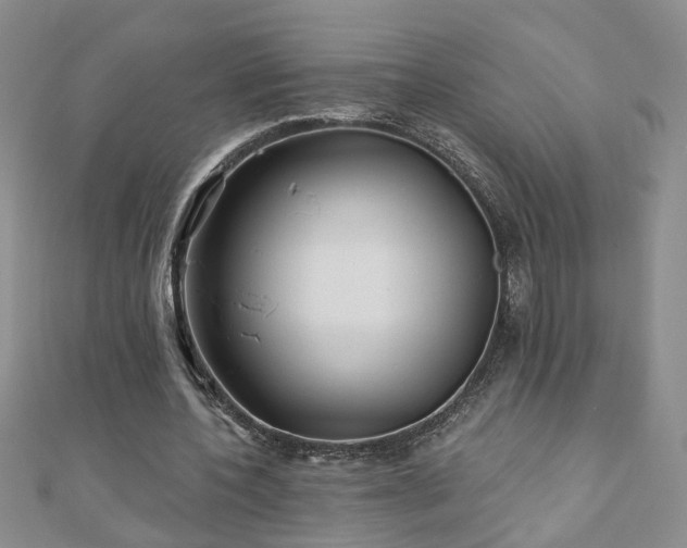 X0000110880532200906181227