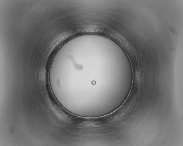 X0000110880534200906181227