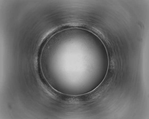 X0000110880535200906181227