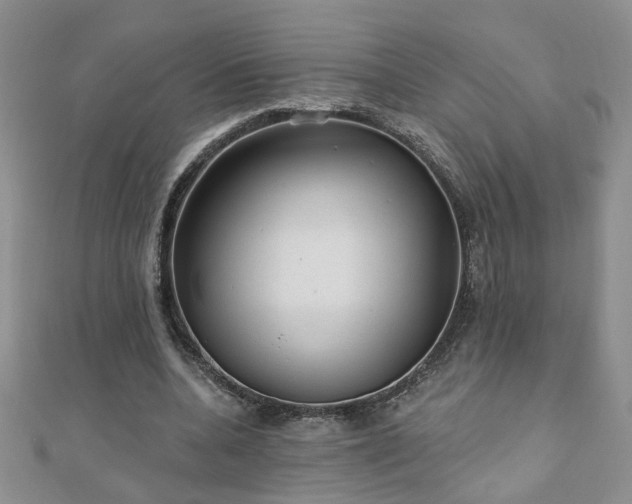 X0000110880536200906181227