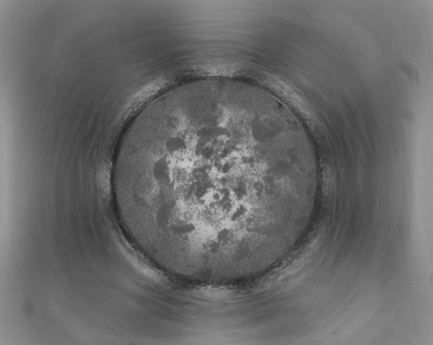 X0000110880537200906181227