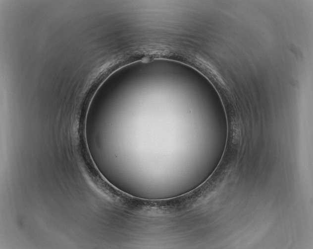 X0000110880538200906181227