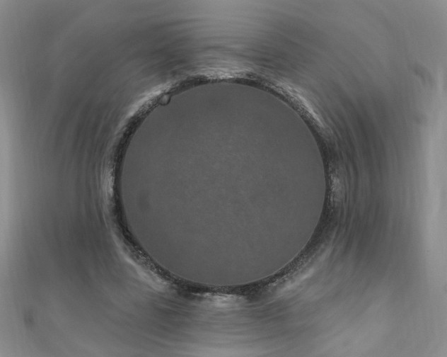 X0000110880539200906181227