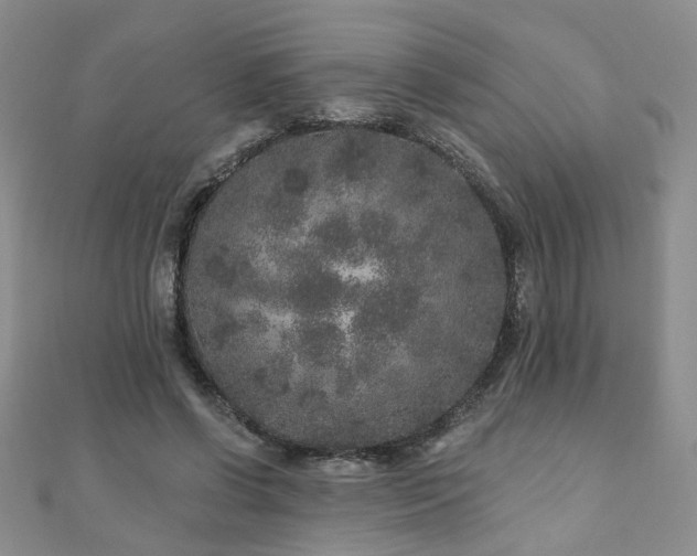 X0000110880542200906181227