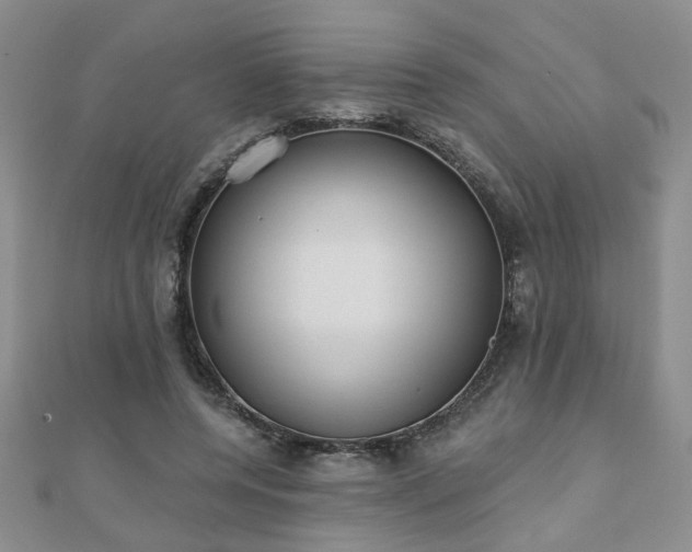 X0000110880544200906181227