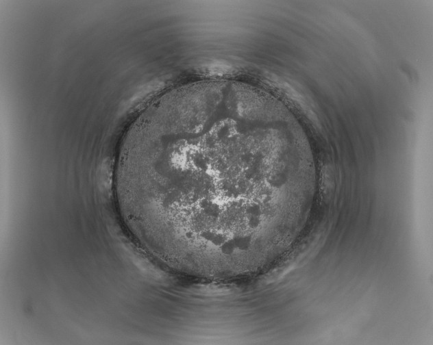 X0000110880545200906181227