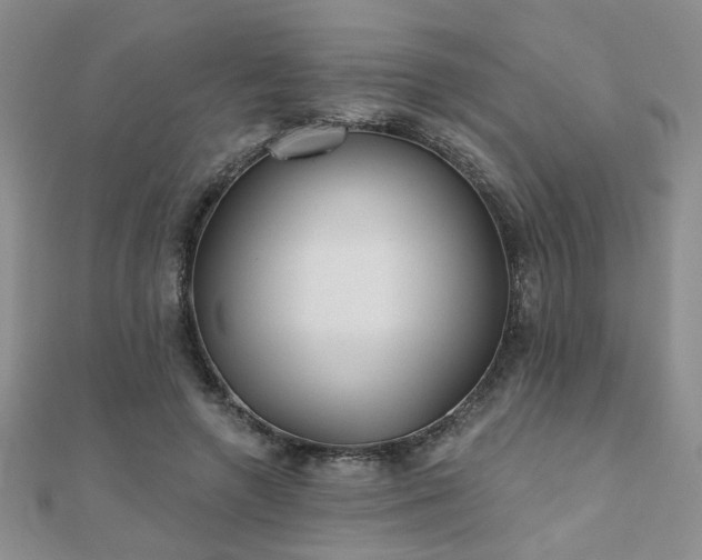 X0000110880546200906181227