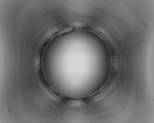 X0000110880548200906181227